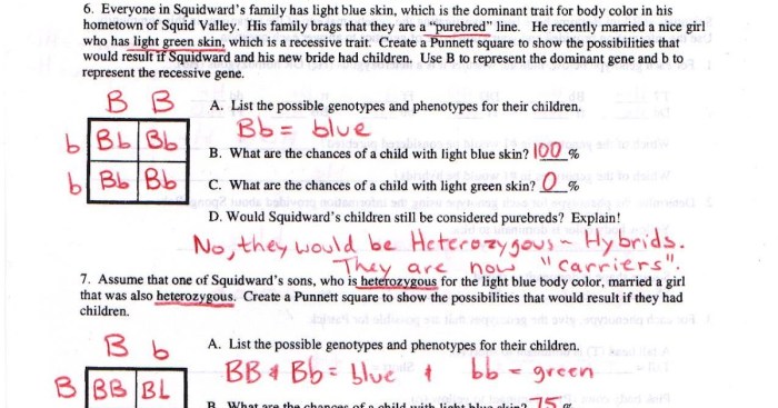 Flobbit genetics worksheet answer key