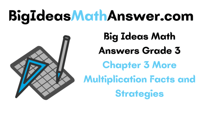 Big ideas math chapter 2 test answers