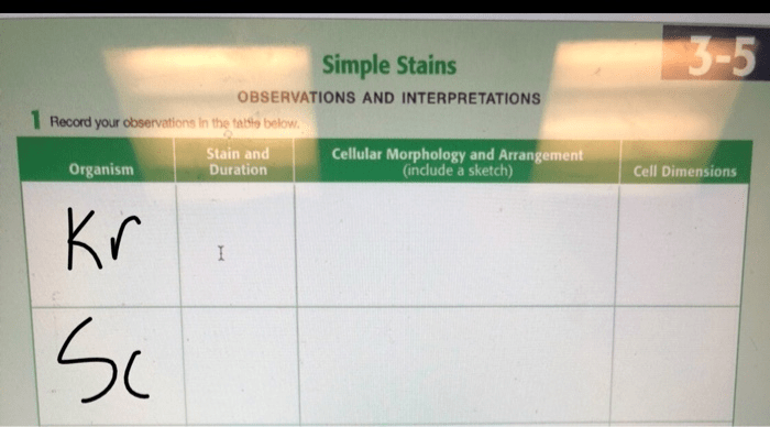 Simple stains data sheet 3-4