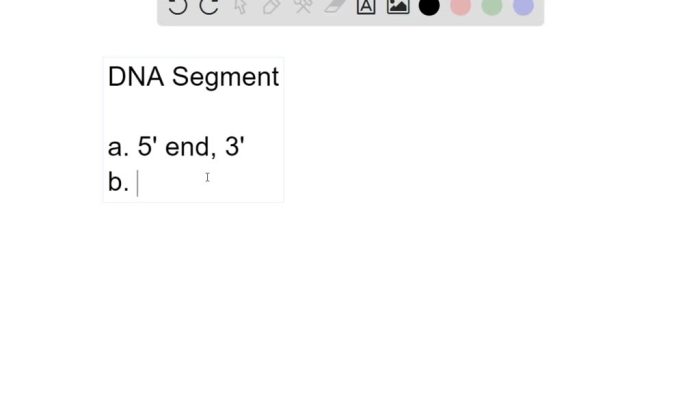 A dna segment is changed from aattagtag to attagtag