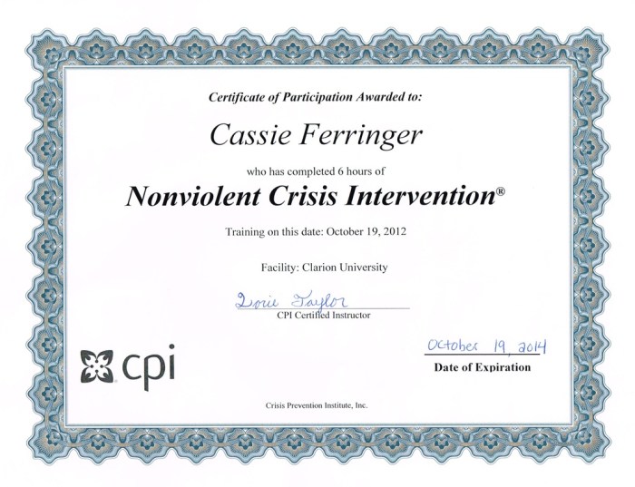 Cpi nonviolent crisis intervention training online