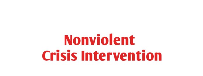 Hcoe nonviolent refresher intervention training