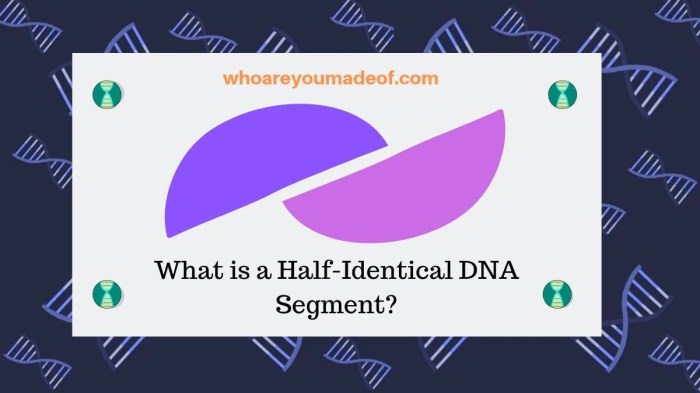 Dna segment isolated stock