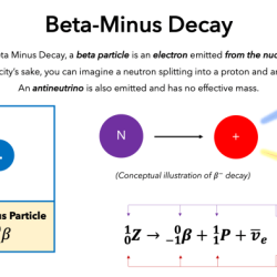 Decay beta particle atom nucleus clipart radioactive svg big openclipart