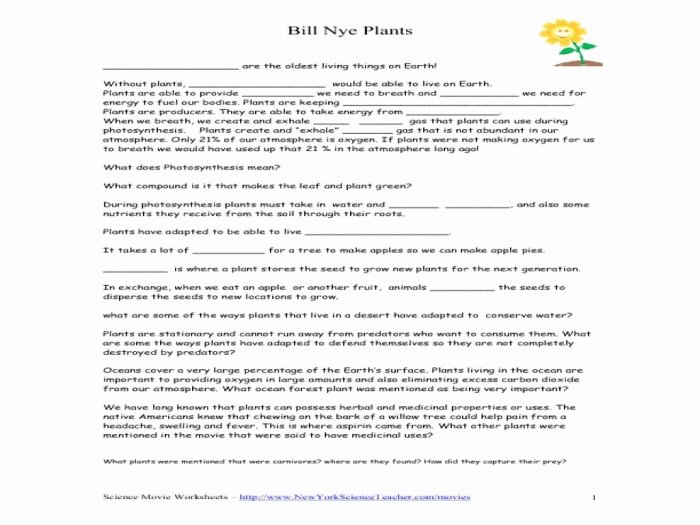 Bill nye biodiversity video worksheet answers