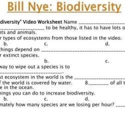 Bill nye biodiversity video worksheet answers