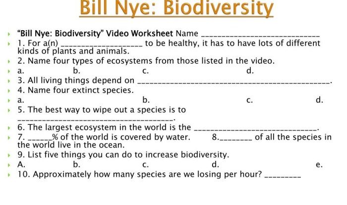 Bill nye biodiversity video worksheet answers