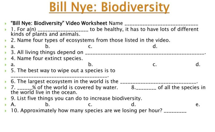 Bill nye biodiversity video worksheet answers