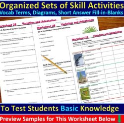 Natural selection and adaptation worksheet answer key