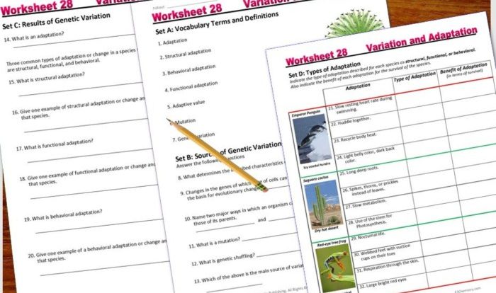 Natural selection and adaptation worksheet answer key