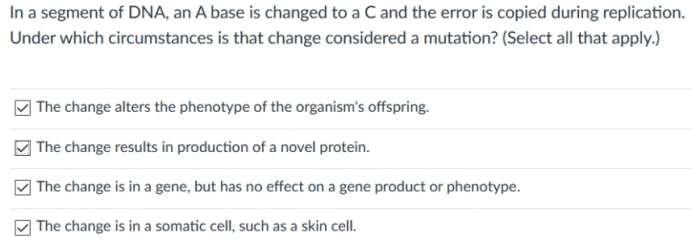 A dna segment is changed from aattagtag to attagtag