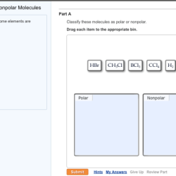 Polar and nonpolar molecules pogil answers