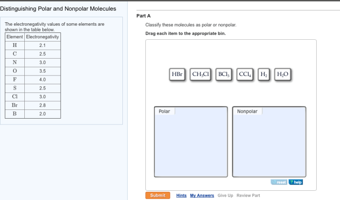 Polar and nonpolar molecules pogil answers