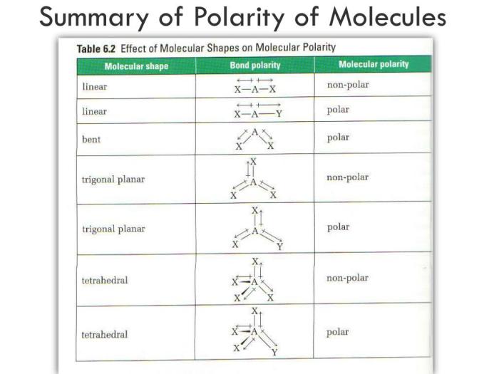 Polar and nonpolar molecules pogil answers